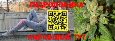 индика Донской