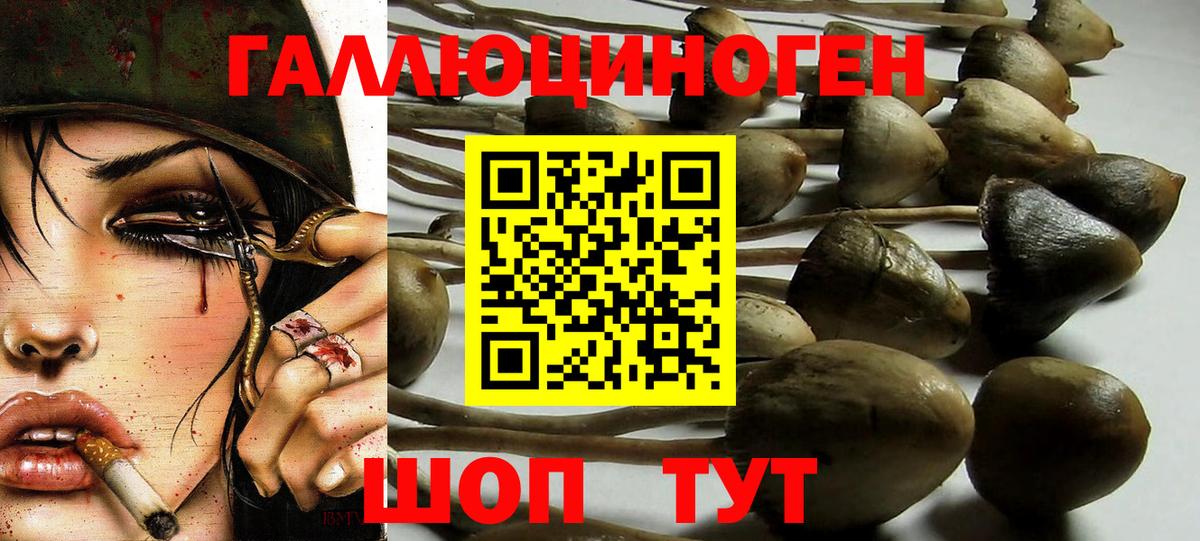 Назарово  Галлюциногенные грибы Magic Shrooms  Вход с VPN 